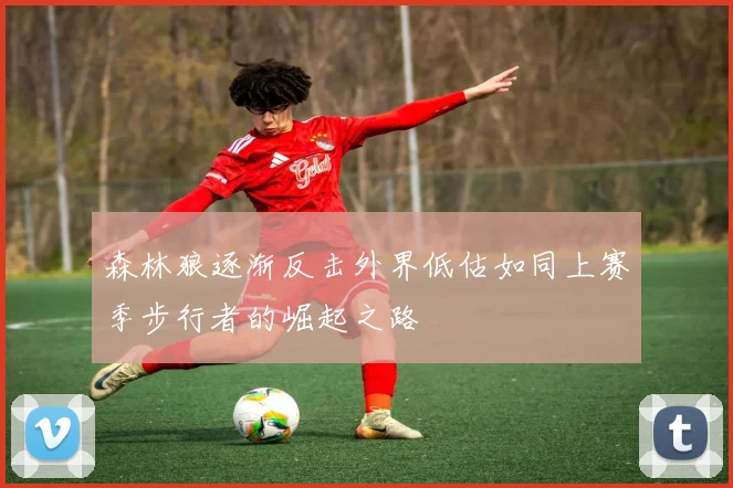 森林狼逐渐反击外界低估如同上赛季步行者的崛起之路